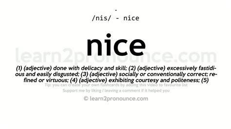 the meaning of nice